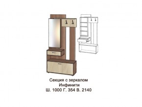 Секция с зеркалом в Чусовом - chusovoj.magazinmebel.ru | фото