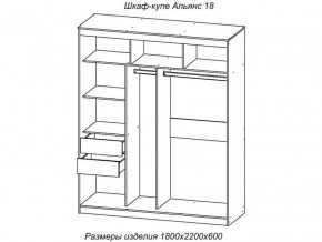 Шкаф-купе Альянс 18 комплект зеркал №4 в Чусовом - chusovoj.magazinmebel.ru | фото - изображение 2